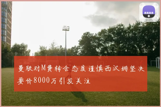 曼联对M费转会态度谨慎西汉姆坚决要价8000万引发关注